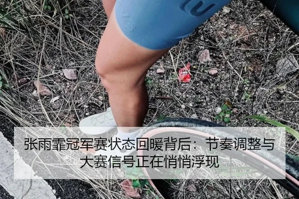 张雨霏冠军赛状态回暖背后：节奏调整与大赛信号正在悄悄浮现